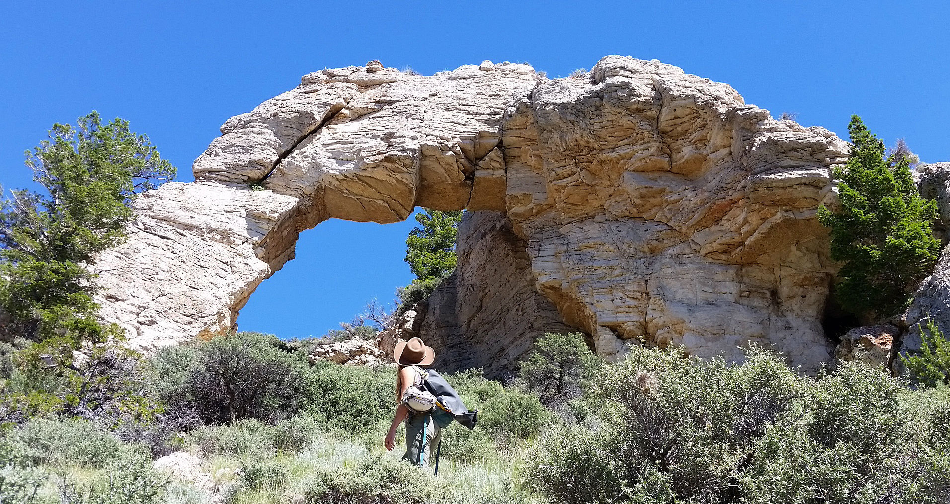 Arch